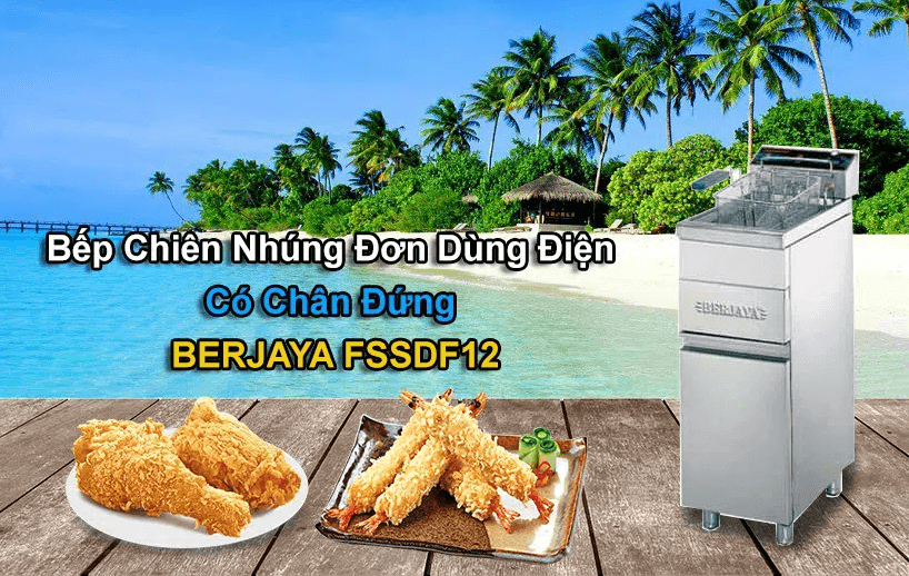 Bếp chiên nhúng điện đơn Berjaya Fssdf 12 cao cấp