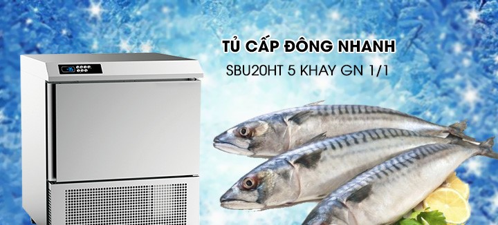 Tủ cấp đông Hoshizaki Blast Chiller-Freezer SBU20HT hình chi tiêt