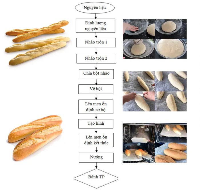 Dây chuyền sản xuất bánh mì tự động